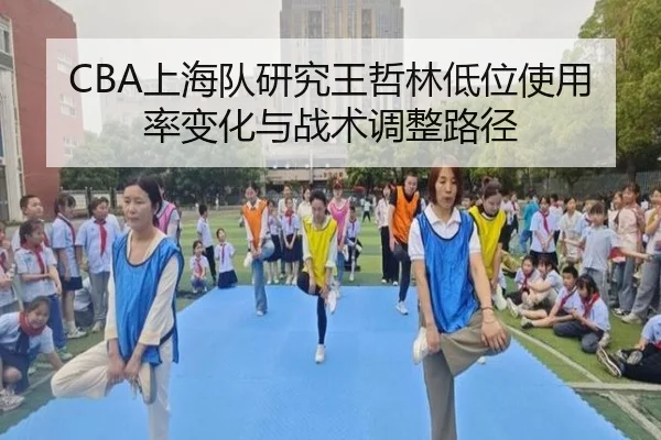 CBA上海队研究王哲林低位使用率变化与战术调整路径