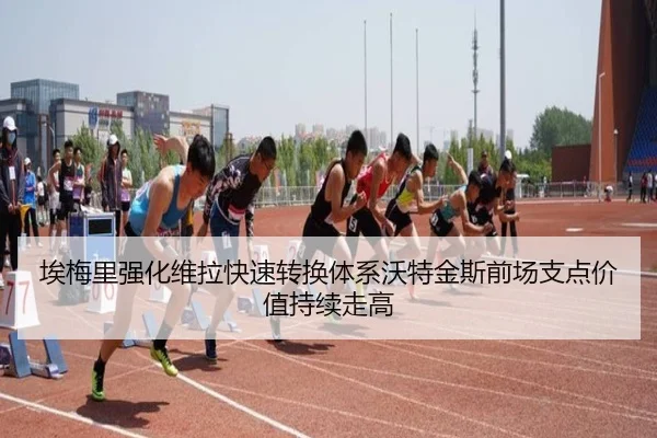 img_1783355889372_241_1_908.jpg
